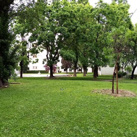 Chambre Double Rosalie En Colocation Montpellier Kültér fotó